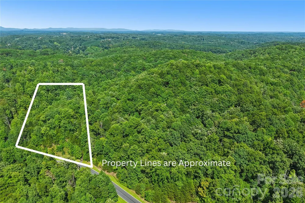 35 Mountain Parkway Mill Spring, NC 28756