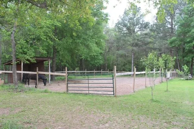 31 Elendor Drive Cleveland, TX 77328