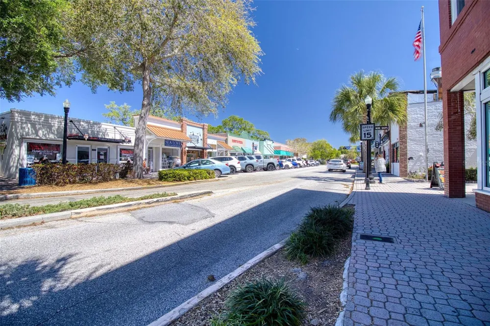 5 SHORE DRIVE Dunedin, FL 34698