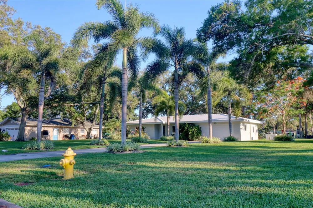 5 SHORE DRIVE Dunedin, FL 34698