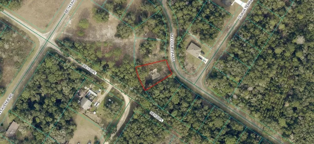 77 BAY COURT PASS Ocklawaha, FL 32179