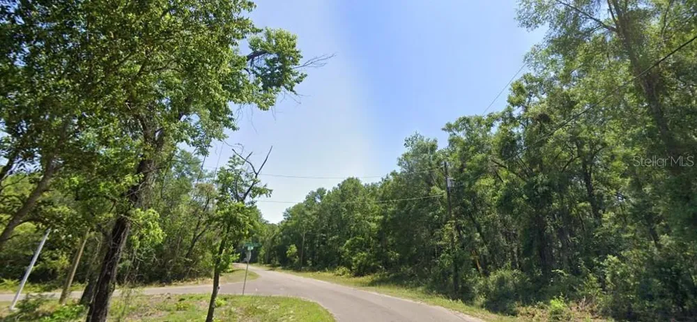 77 BAY COURT PASS Ocklawaha, FL 32179