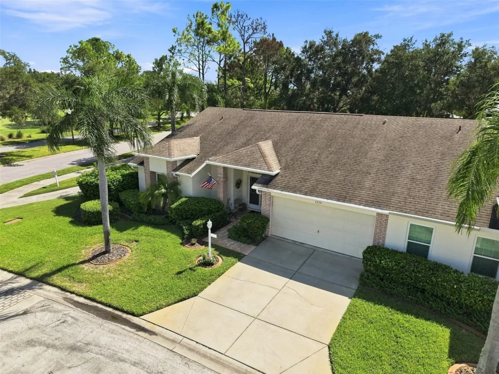 1236 FLORA VISTA STREET Trinity, FL 34655