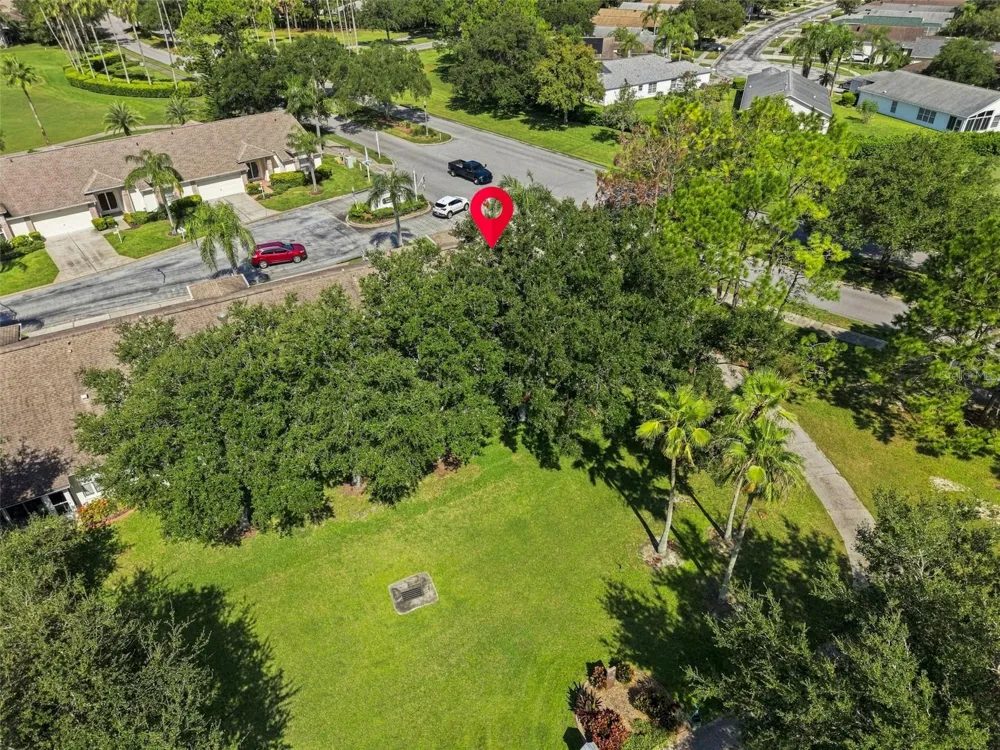 1236 FLORA VISTA STREET Trinity, FL 34655