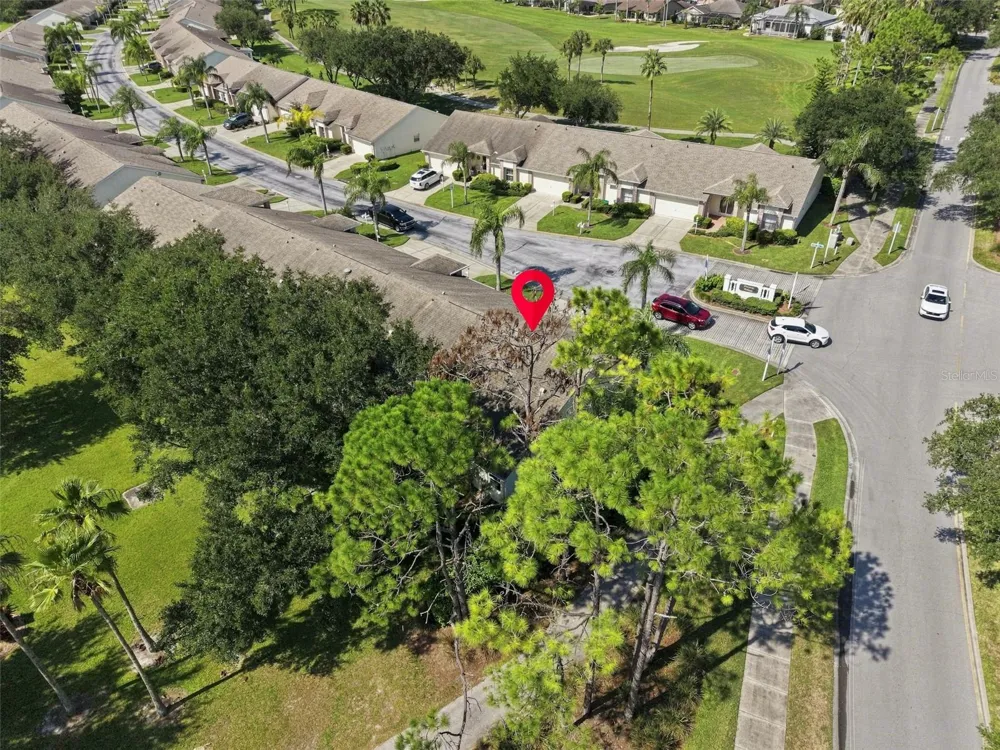 1236 FLORA VISTA STREET Trinity, FL 34655
