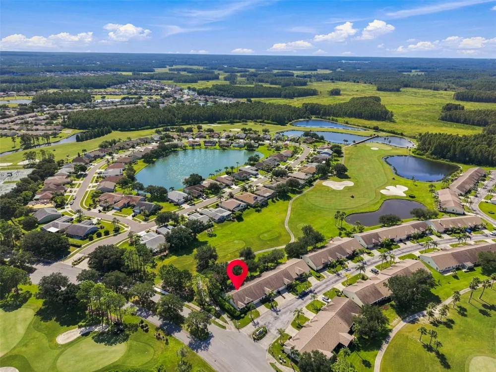 1236 FLORA VISTA STREET Trinity, FL 34655