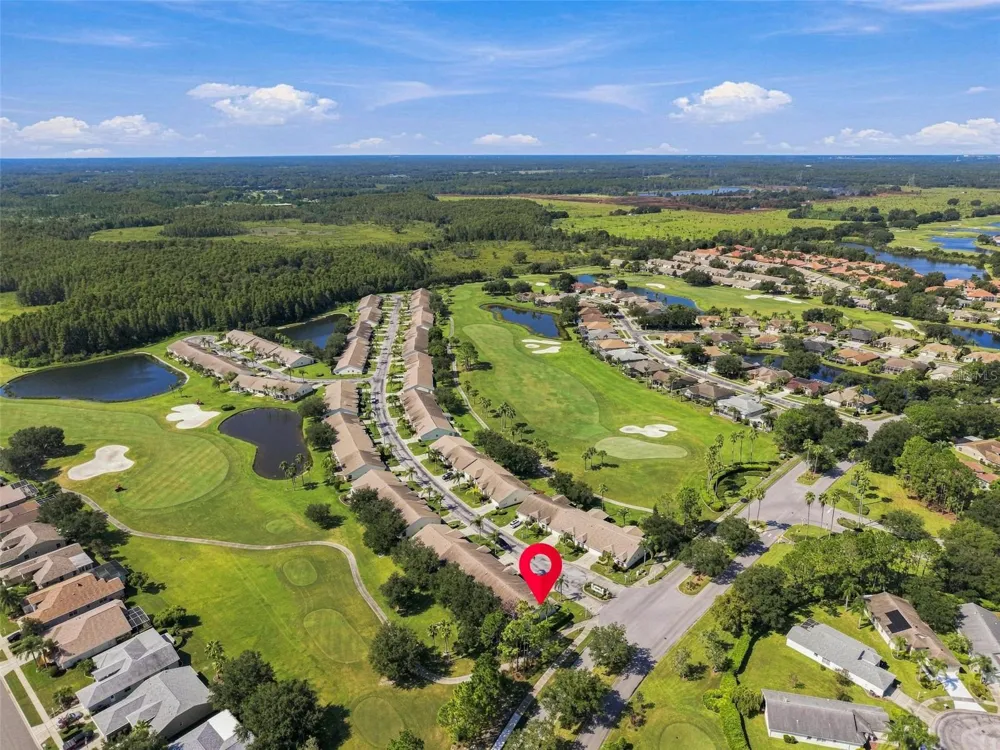 1236 FLORA VISTA STREET Trinity, FL 34655