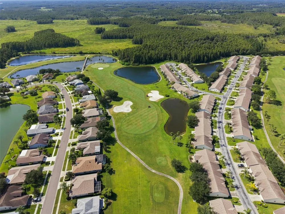 1236 FLORA VISTA STREET Trinity, FL 34655