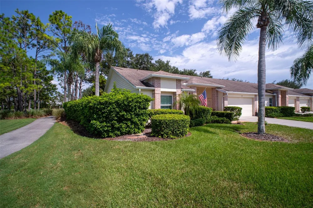 1236 FLORA VISTA STREET Trinity, FL 34655