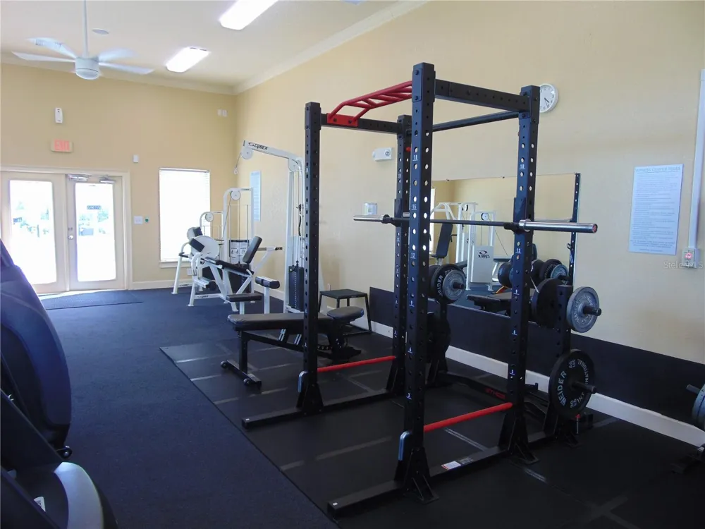 4323 BAYSIDE VILLAGE DRIVE #102 Tampa, FL 33615