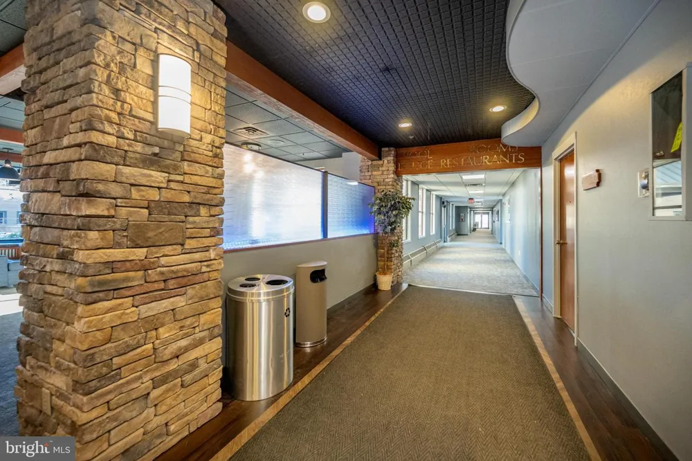 290 MARSH HILL ROAD #222A Mc Henry, MD 21541