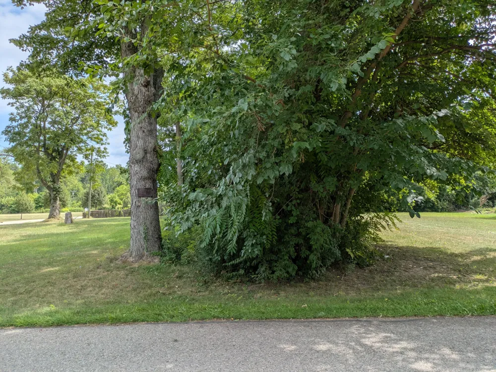 Delano Street Romulus, MI 48174