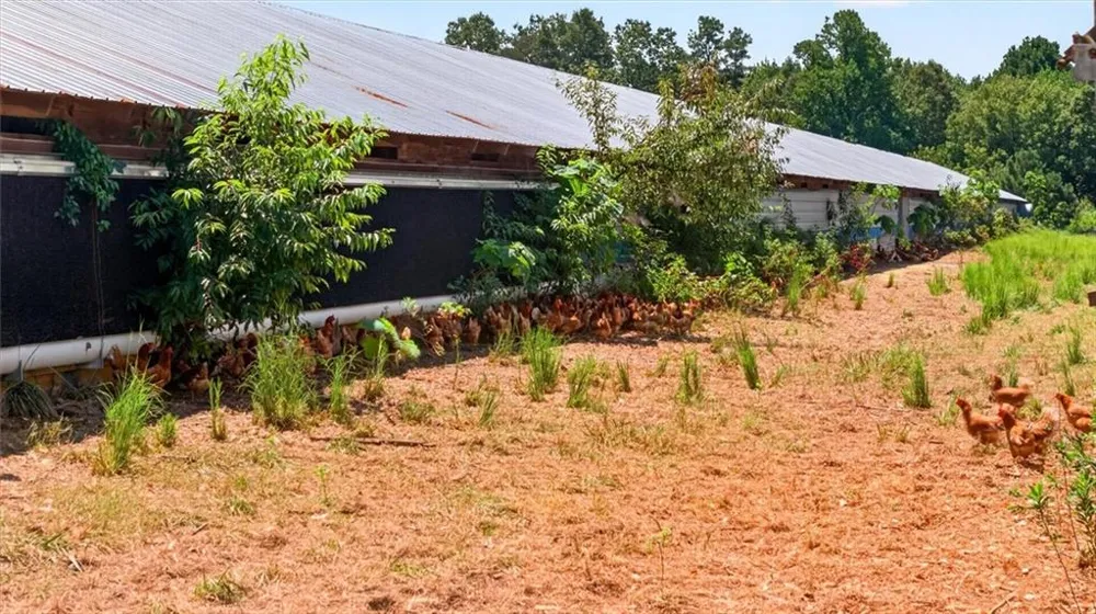 1068 Stivers Road Jasper, GA 30143