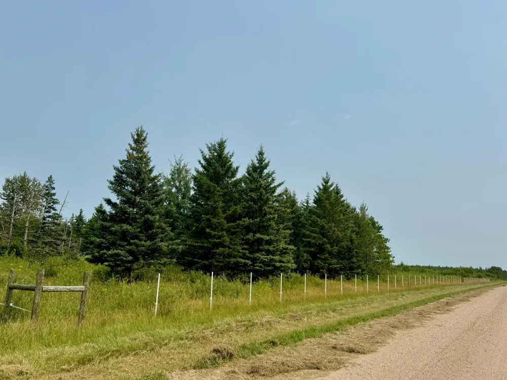 26571 260th Street Badger, MN 56714