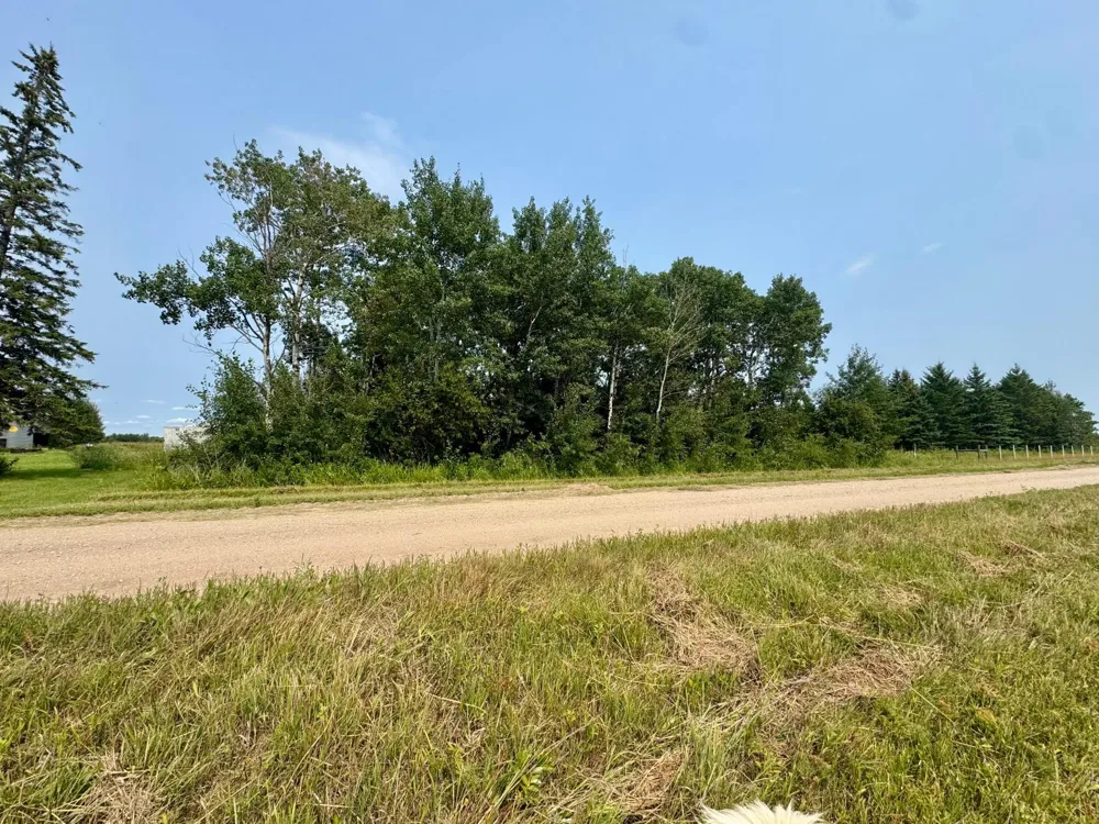 26571 260th Street Badger, MN 56714