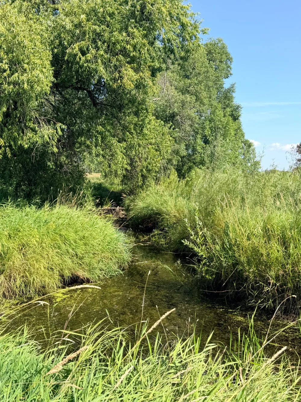 39726 350th Avenue SE Fosston, MN 56542