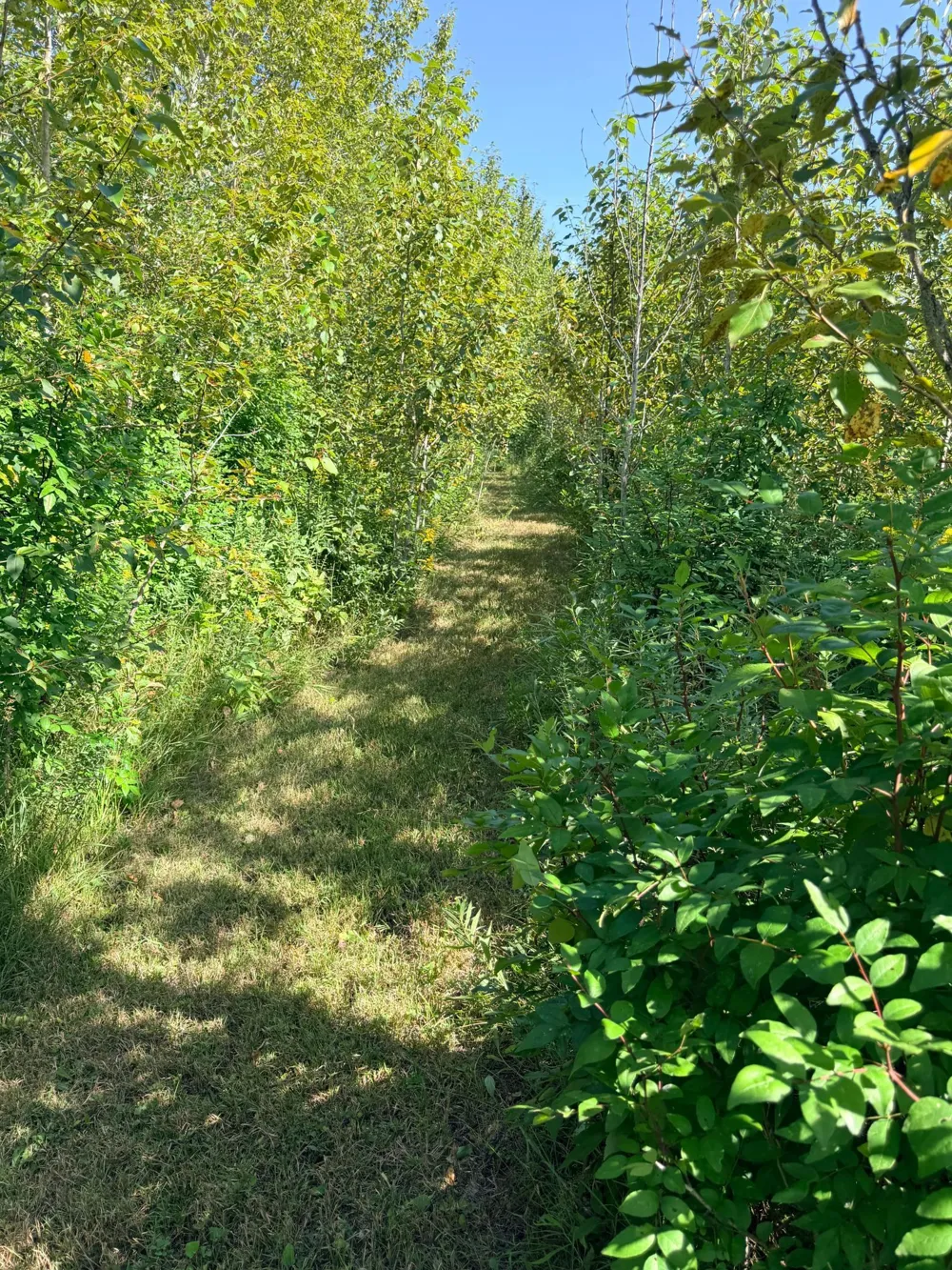 39726 350th Avenue SE Fosston, MN 56542