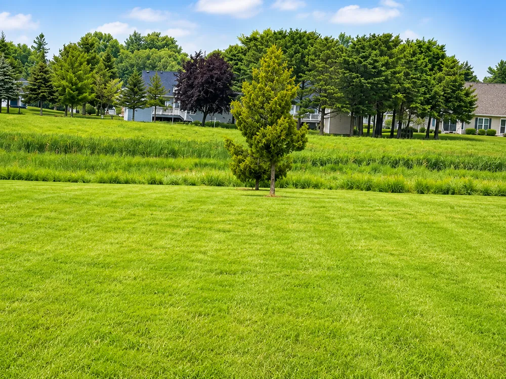 854 Lake Forest Circle Detroit Lakes, MN 56501
