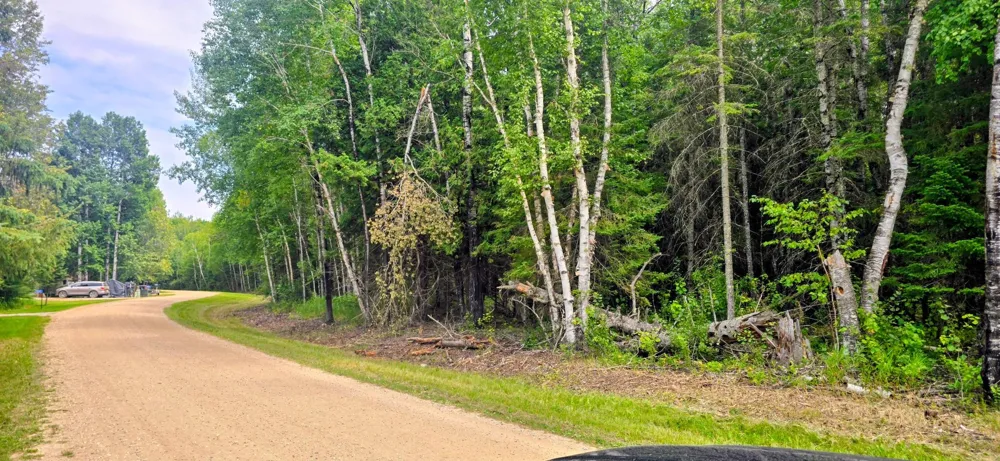 TBD Dawson Road NW Angle Inlet, MN 56711