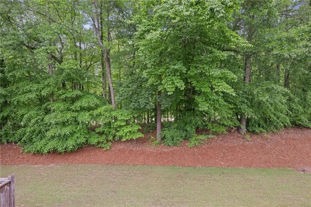 1971 Silver Birch Drive SE Smyrna, GA 30080