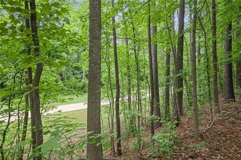 1971 Silver Birch Drive SE Smyrna, GA 30080