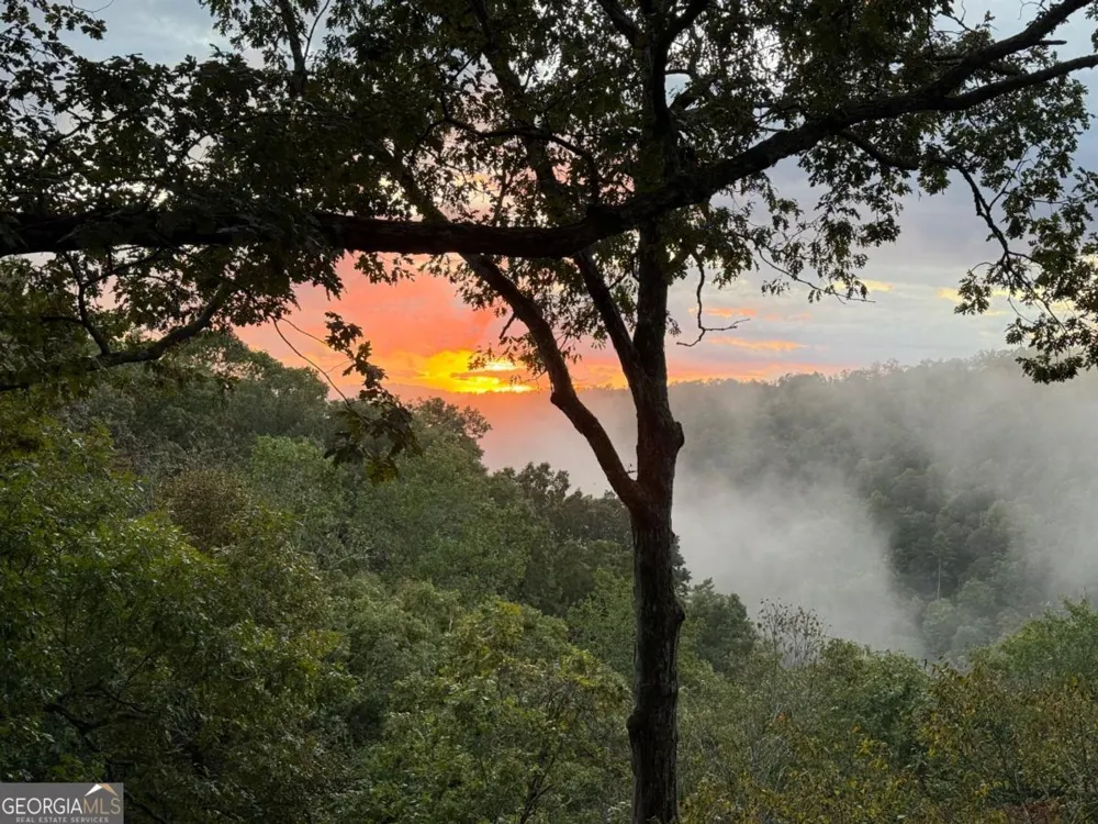 250 Noah CIR Ellijay, GA 30540