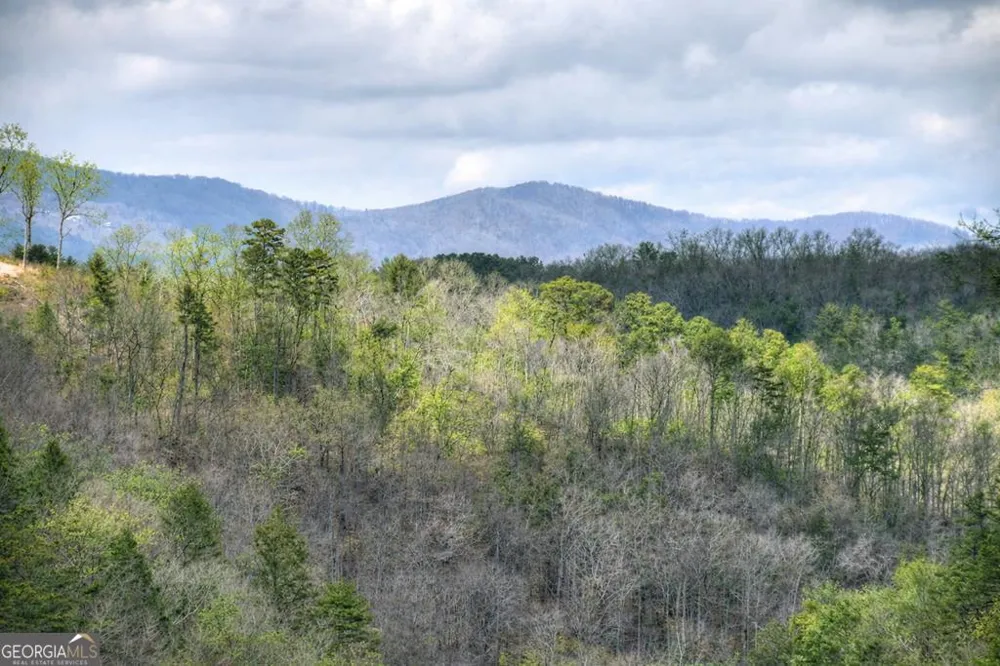 250 Noah CIR Ellijay, GA 30540