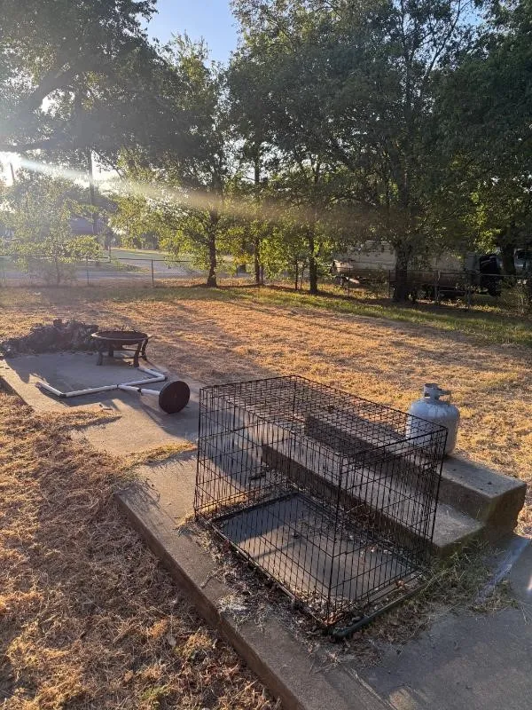 301 Gene Autry Drive Tioga, TX 76271