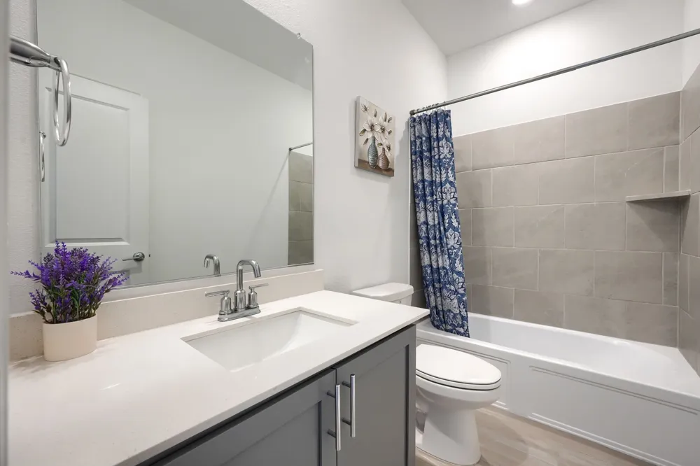 1124 Water Canna Drive Justin, TX 76247