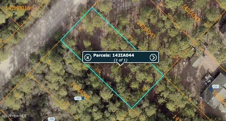 Lot 47 Juniper Road Boiling Spring Lakes, NC 28461