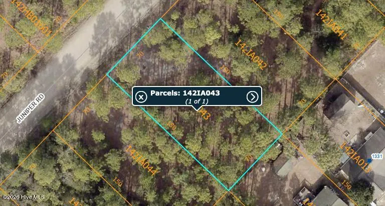 Lot 46 Juniper Road Boiling Spring Lakes, NC 28461
