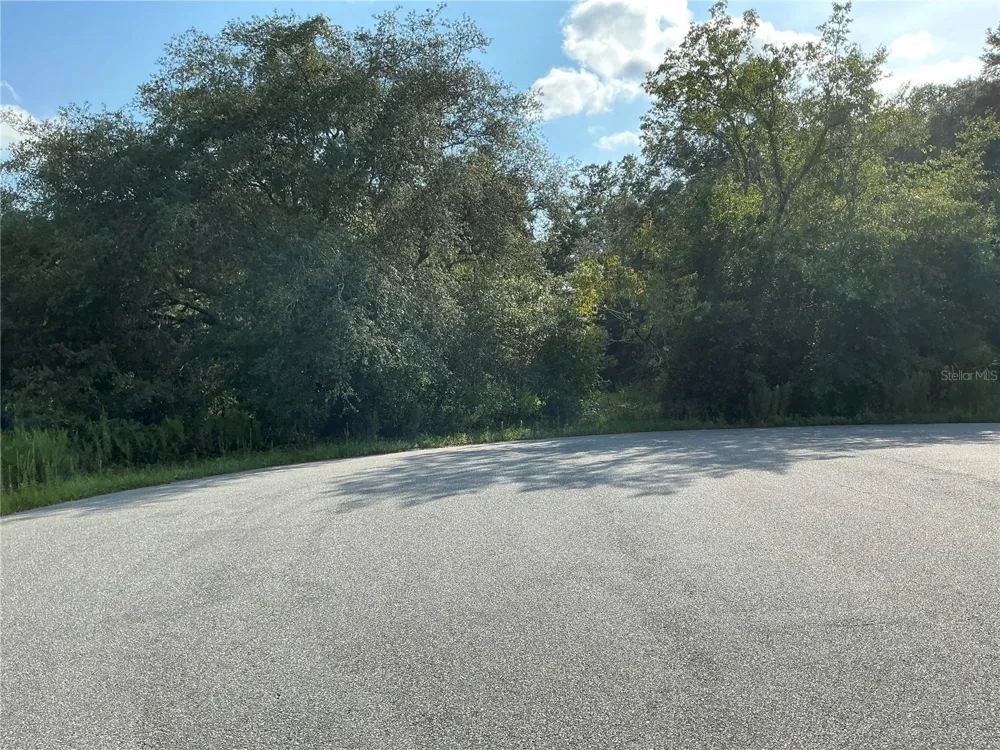 LOT 28 ASPEN DR PLACE ocala, FL 34480