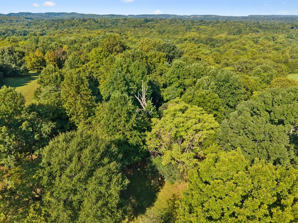1668 Old Lewisburg Hwy Columbia, TN 38401