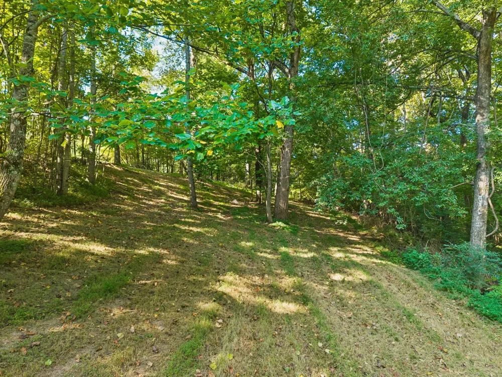 1668 Old Lewisburg Hwy Columbia, TN 38401