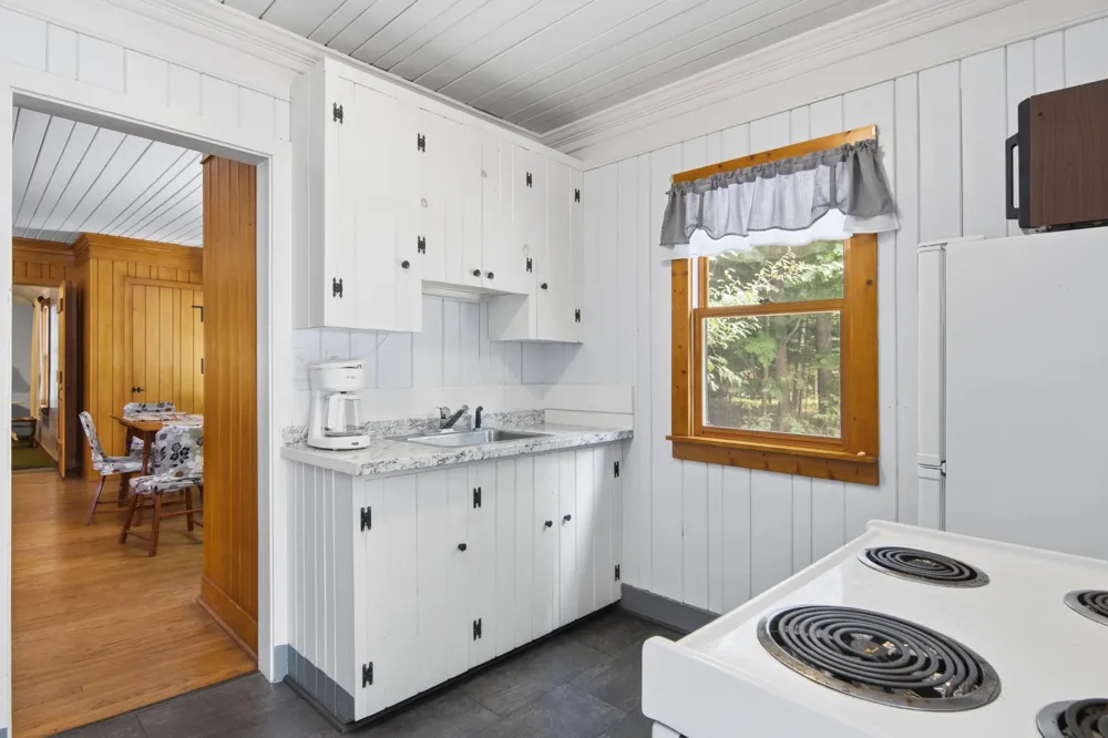 7356 SE Torch Lake Drive Helena Township, MI 49612