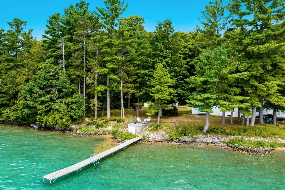 7356 SE Torch Lake Drive Helena Township, MI 49612