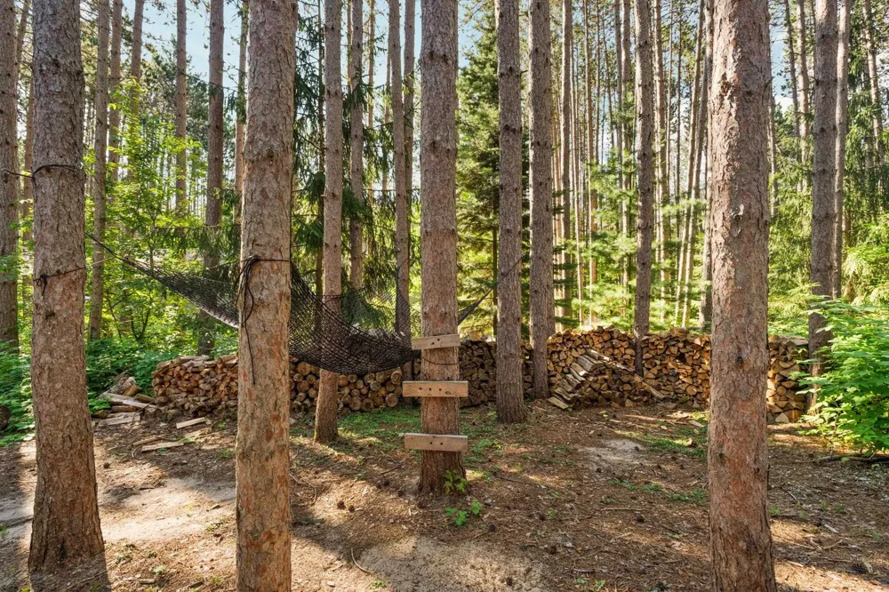 2477 Obervalden Custer Township, MI 49615