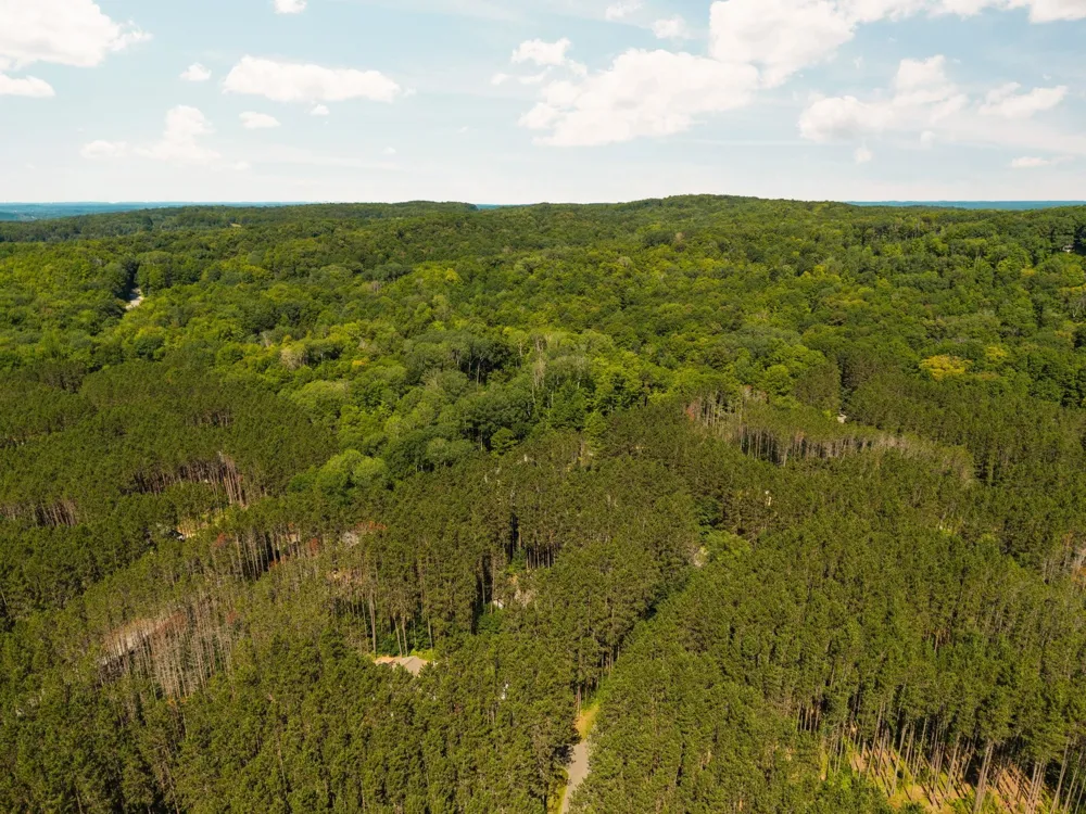 2477 Obervalden Custer Township, MI 49615