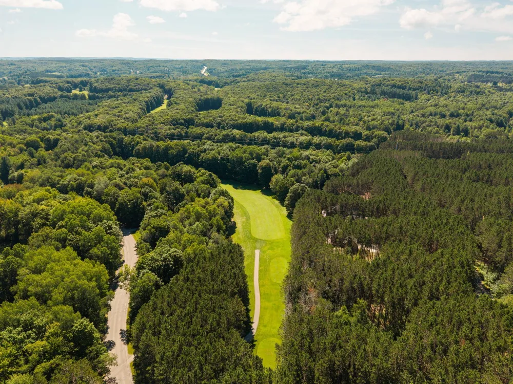 2477 Obervalden Custer Township, MI 49615