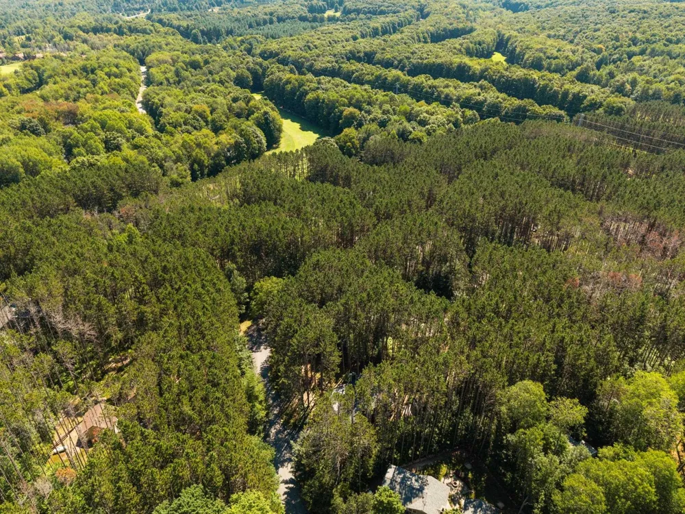 2477 Obervalden Custer Township, MI 49615