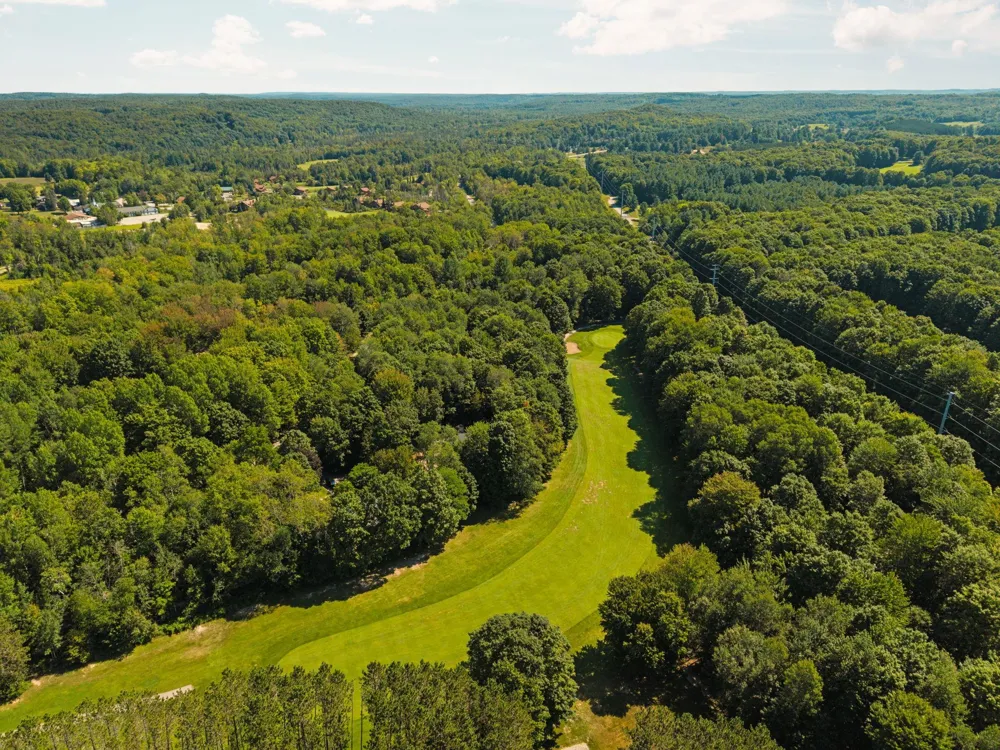 2477 Obervalden Custer Township, MI 49615