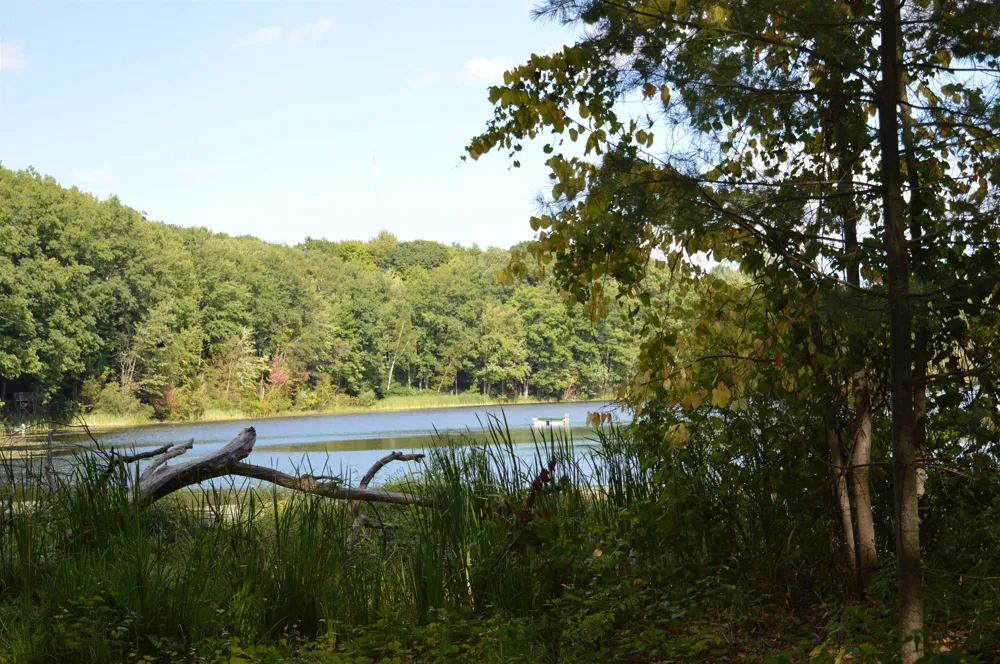 3035 NE Lincoln Drive Kalkaska Township, MI 49646