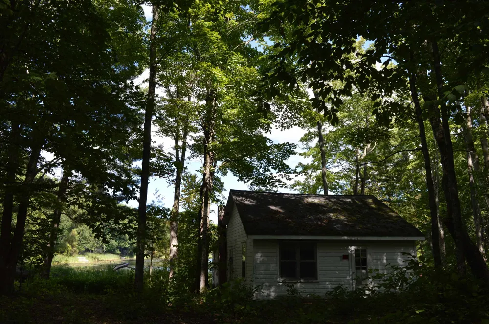 3035 NE Lincoln Drive Kalkaska Township, MI 49646