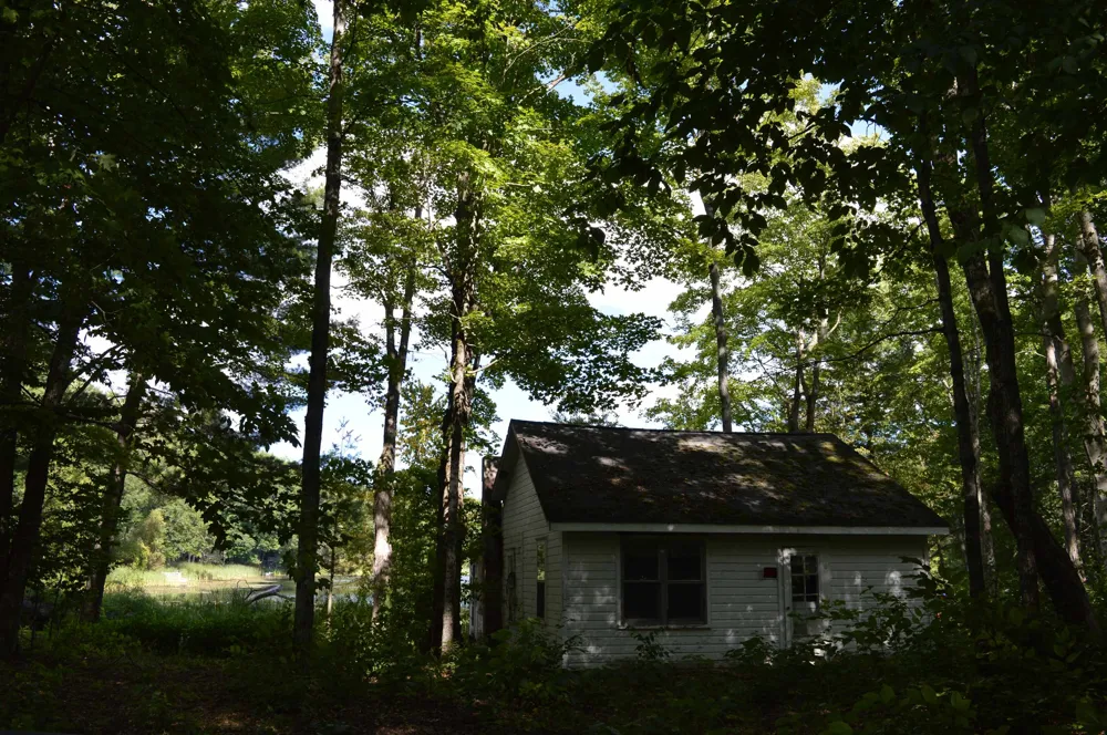 3035 NE Lincoln Drive Kalkaska Township, MI 49646