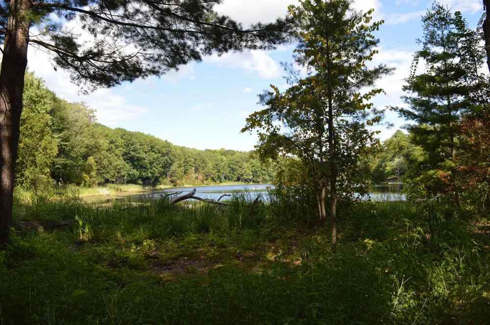 3035 NE Lincoln Drive Kalkaska Township, MI 49646