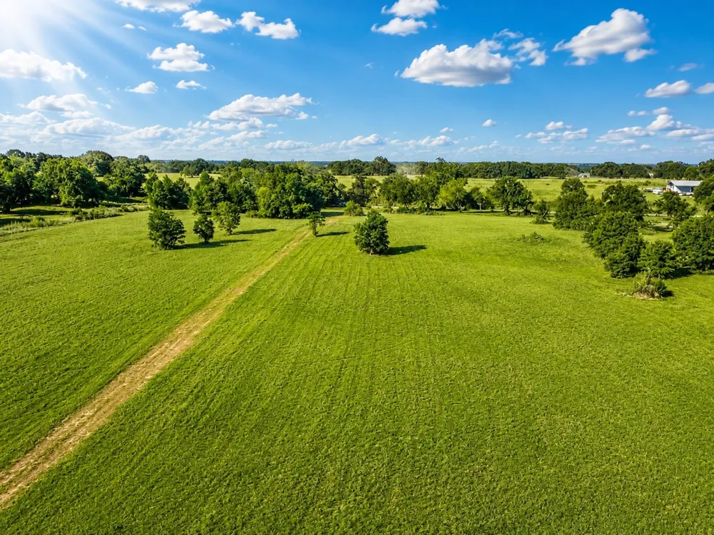CR 1250 Whitney, TX 76692