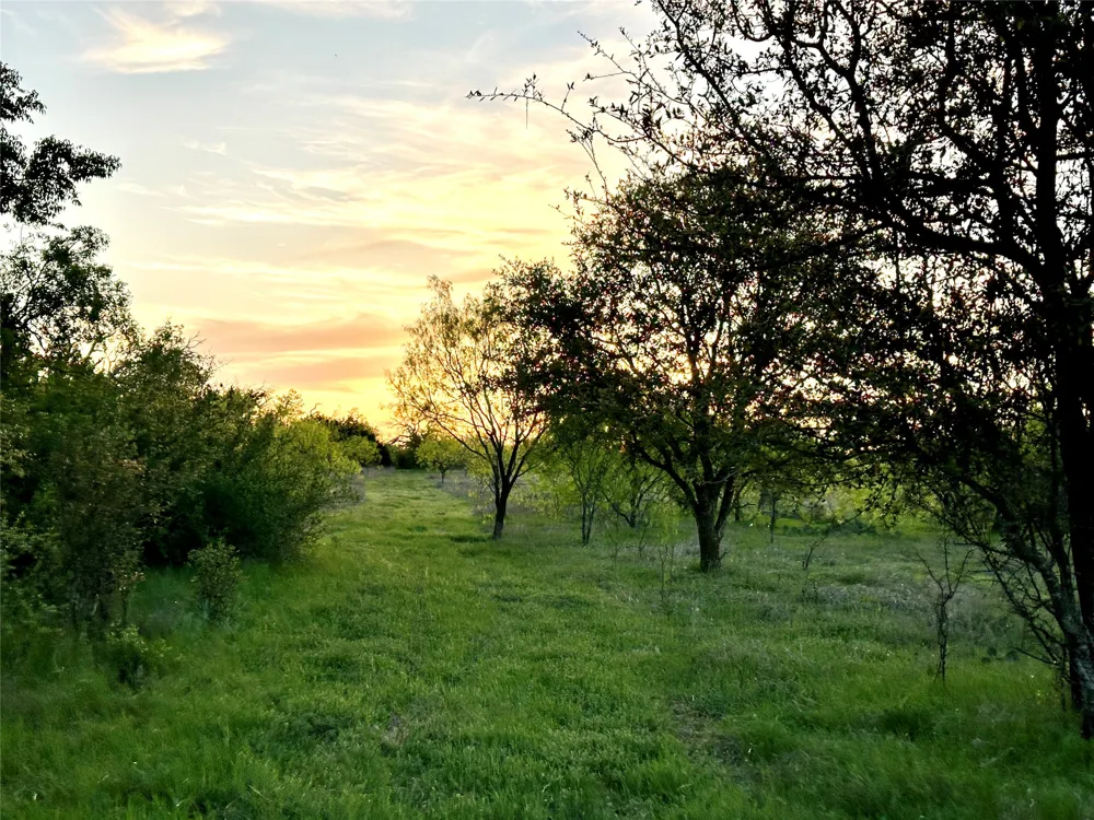 11 County Road 191 Mullin, TX 76864
