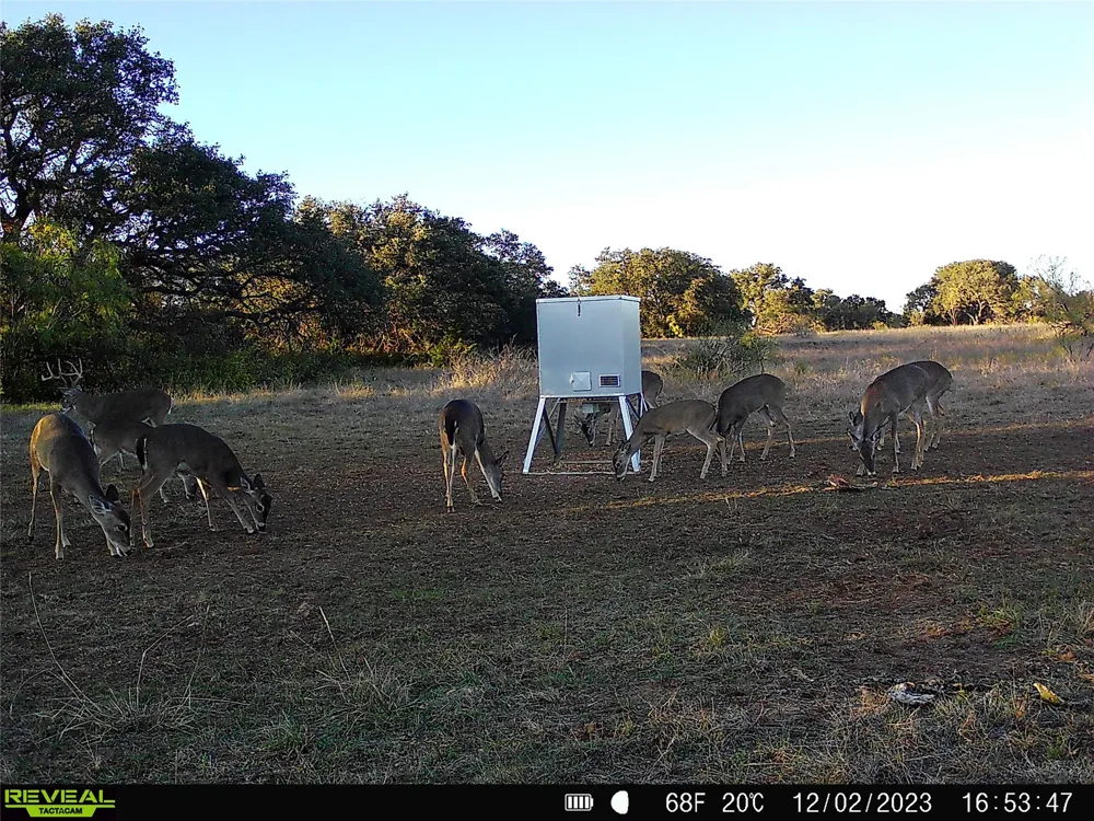 11 County Road 191 Mullin, TX 76864