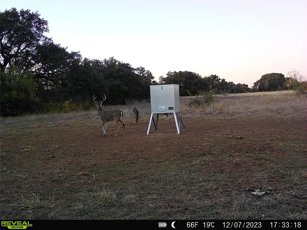 11 County Road 191 Mullin, TX 76864
