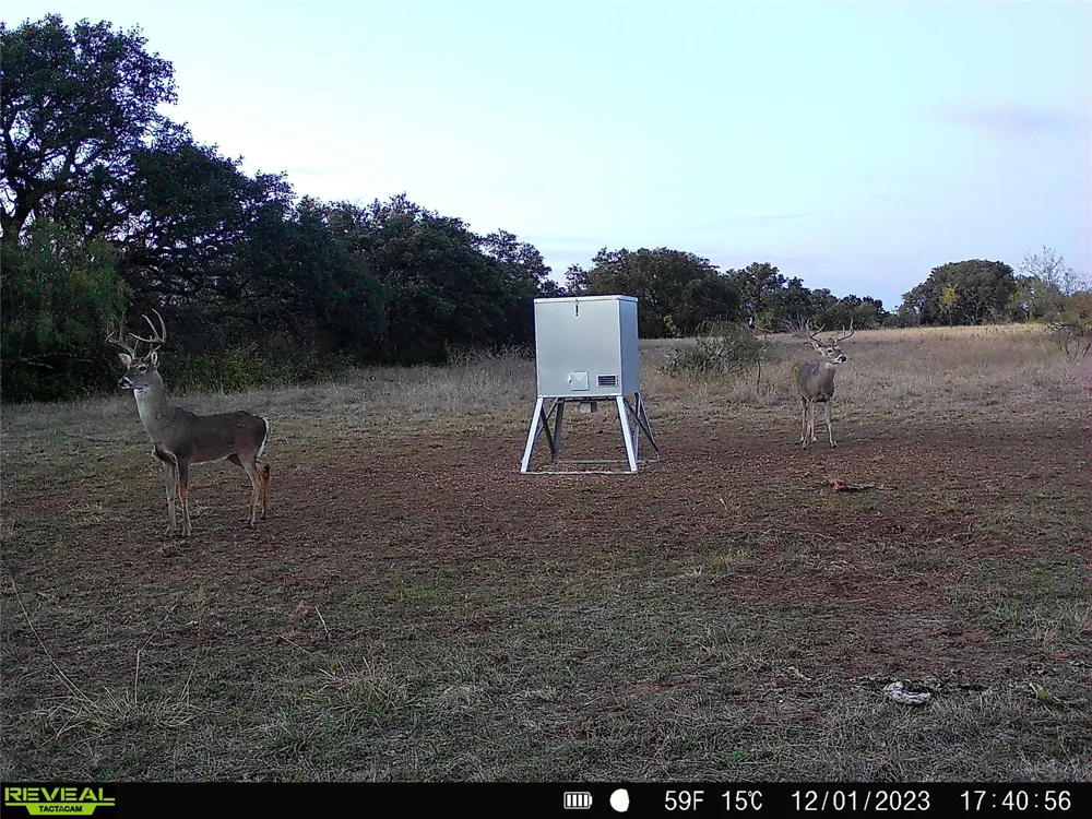 11 County Road 191 Mullin, TX 76864
